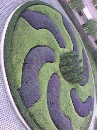 2023年奥门原料免费资料