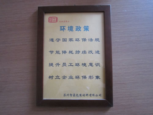 环境政策