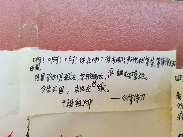 文倩微信图片_20170816112517_副本.jpg